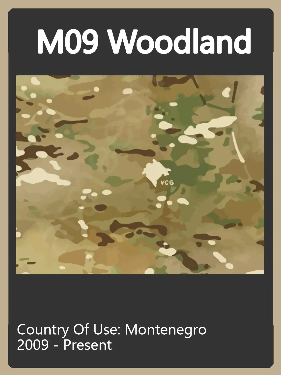 Montenegro Camo Swatch.jpg
