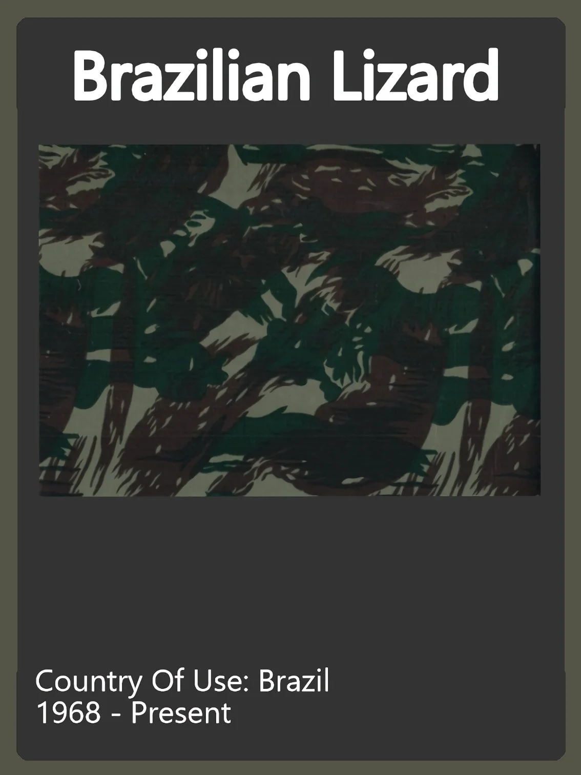 Brazilian Lizard Camo Swatch.jpg