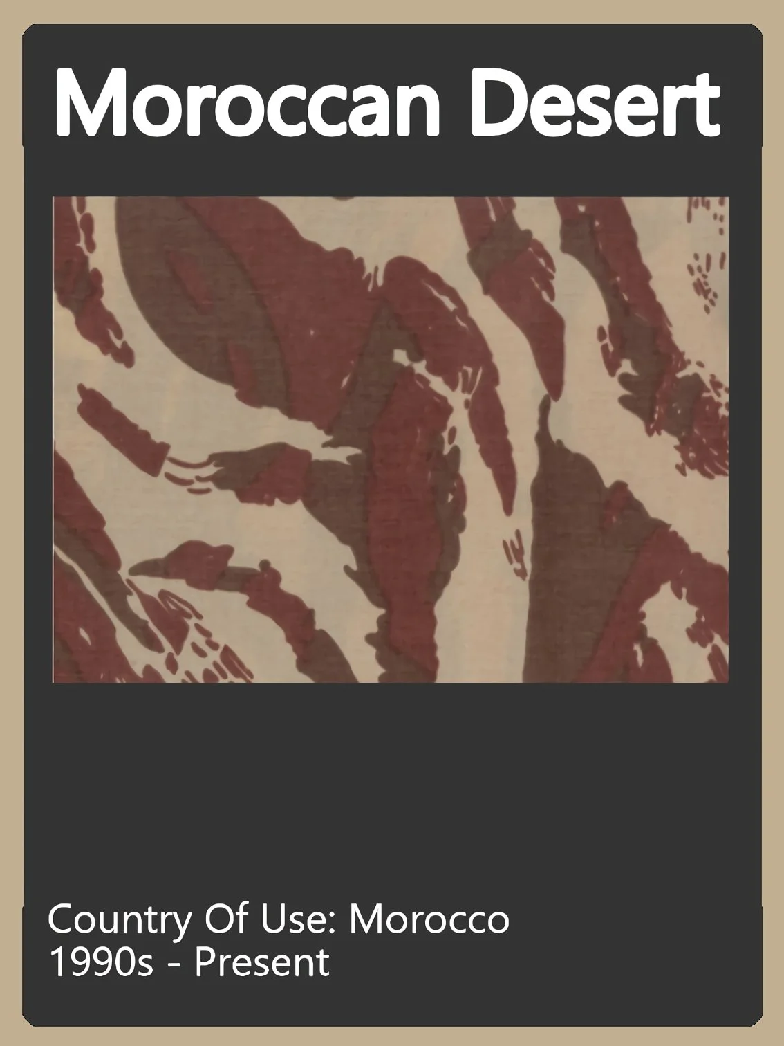 Moroccan Desert Camo Swatch.jpg