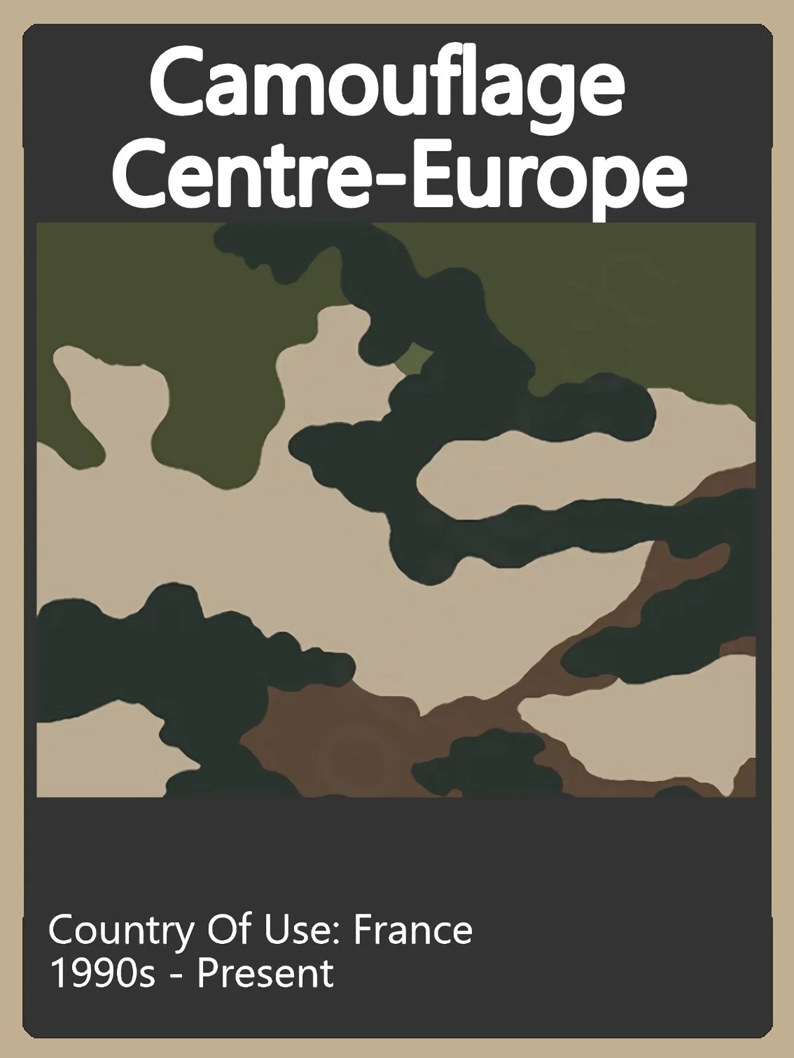 France Camo Swatch.jpg
