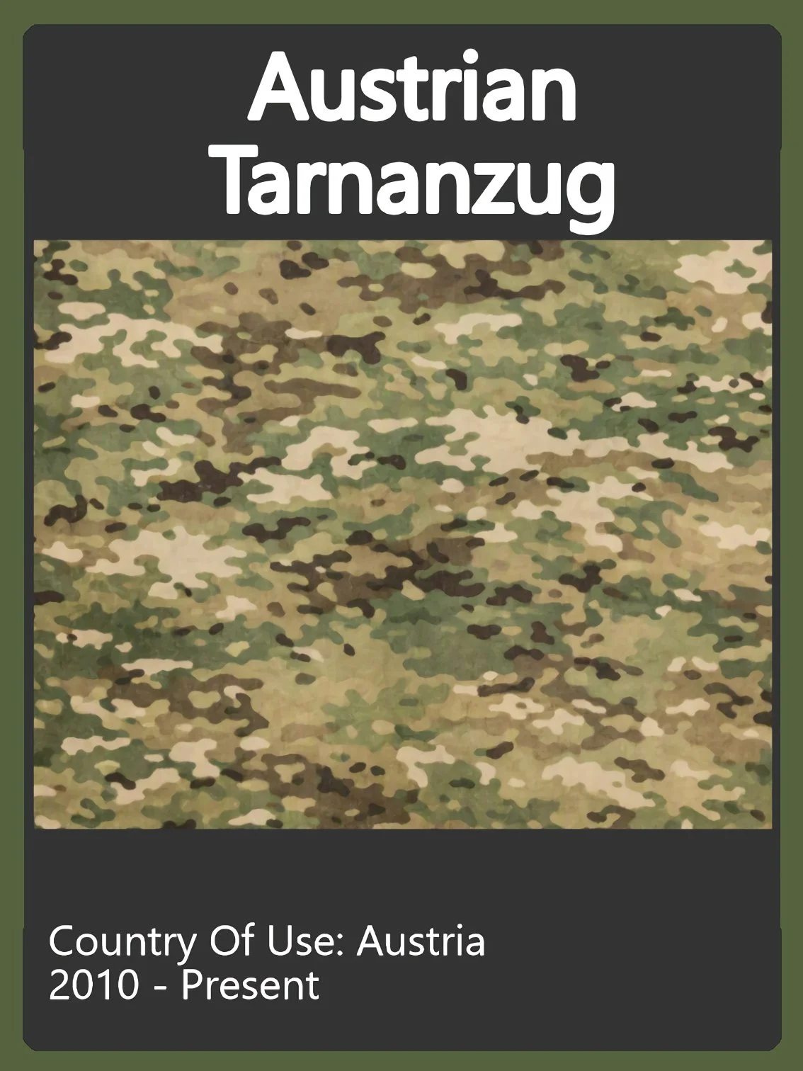 Austria Camo Swatch.jpg