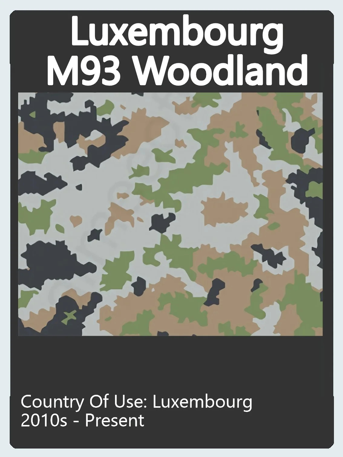 Luxembourg Camo Swatch.jpg