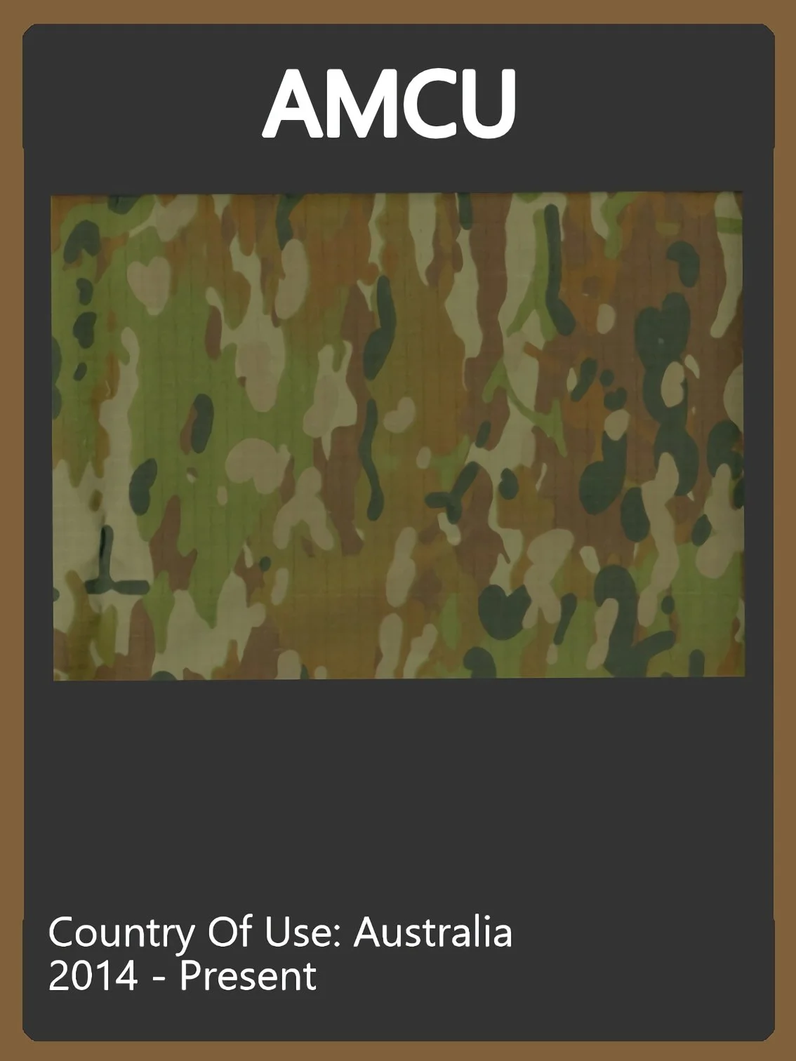 AMCU Camo Swatch.jpg