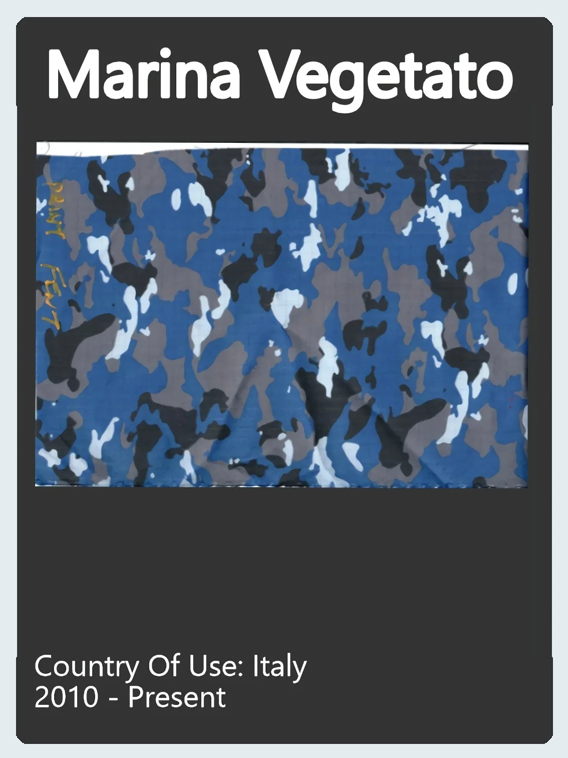 Marina Vegetato Camo Swatch.jpg