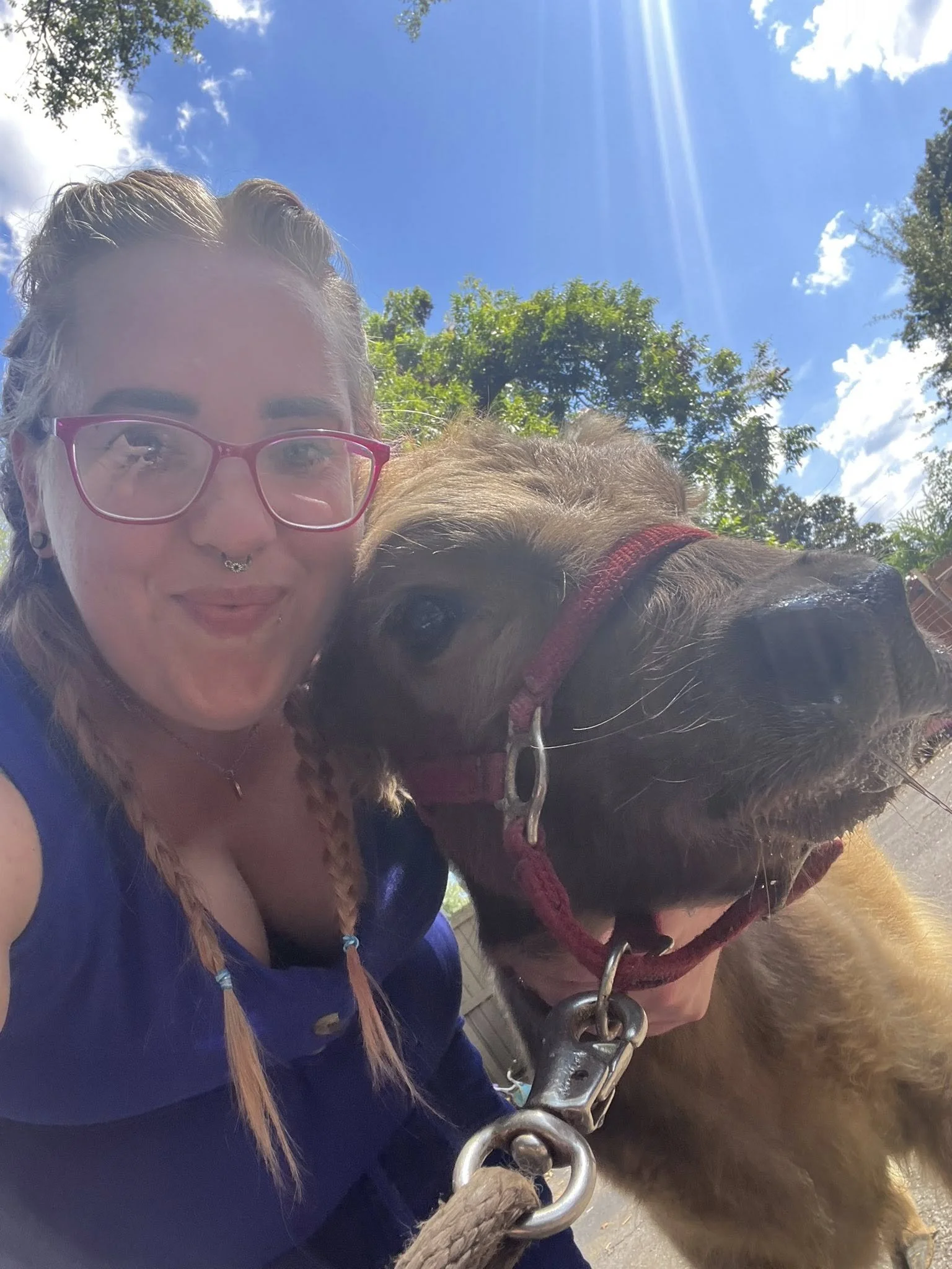 A woman with light hair and glasses taking a selfie with a large brown dog on a sunny day outdoors, with green trees and a blue sky in the background.