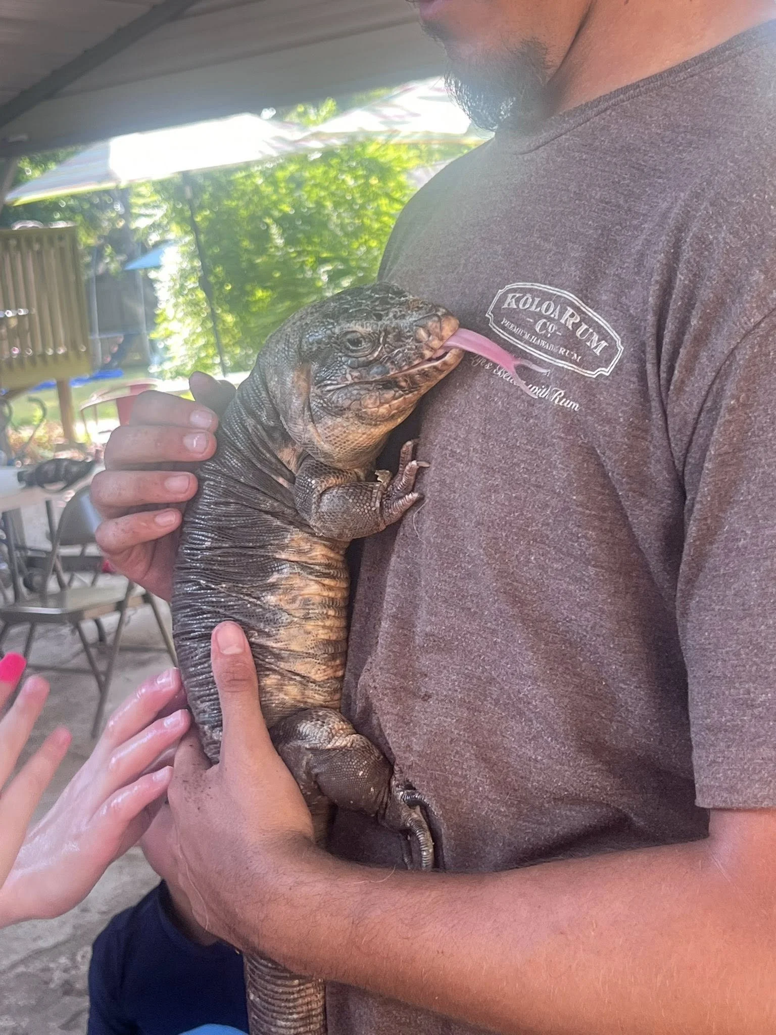A person holding a large black and gray lizard against their chest, with their face not visible. The lizard is licking the person's chest, and the person's hand is gently supporting the lizard's body.