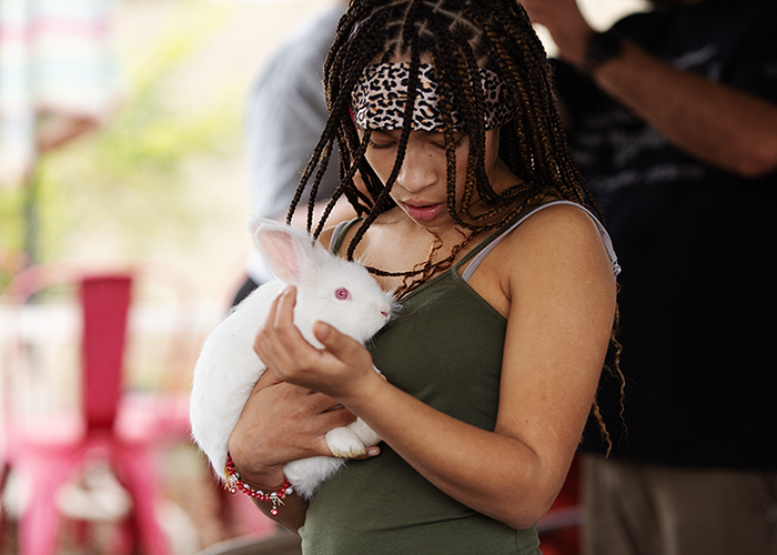 Girl holding a white rabbit.