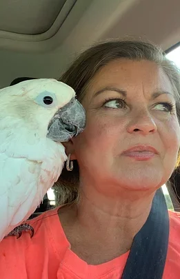 A woman with dark hair and a pink shirt sitting in a car with a white parrot perched on her shoulder.
