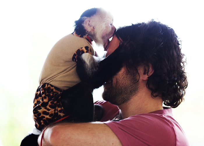 A baby monkey hugging and kissing an adult man's face.