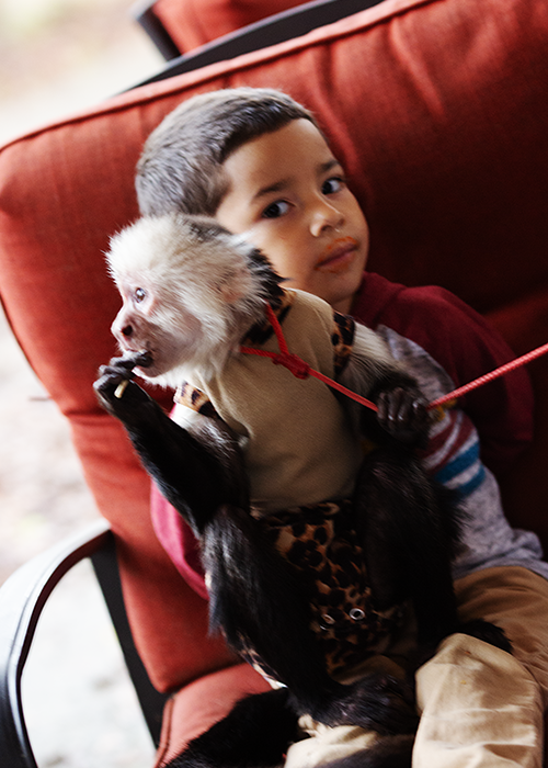 A young boy sitting on an orange-red armchair holding a baby monkey with a beige vest, in what appears to be an indoor setting.
