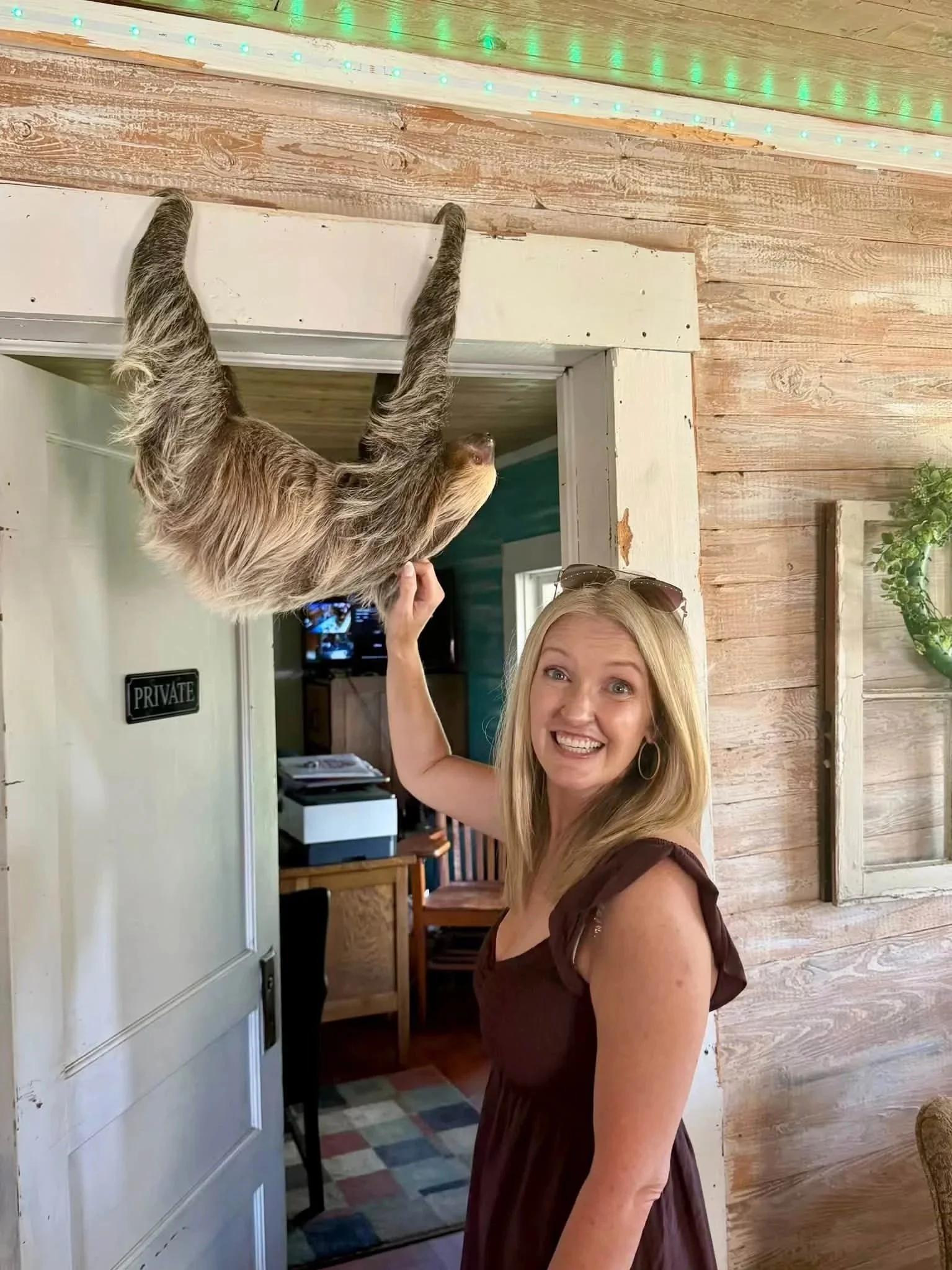 A woman with blonde hair smiling as a sloth hangs upside down from a doorway frame, reaching towards her with its claws.