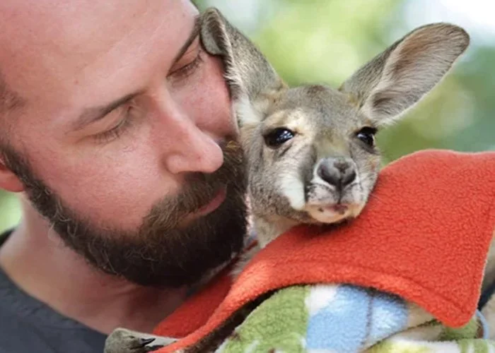 A man holding a small gray baby kangaroo wrapped in a colorful blanket.