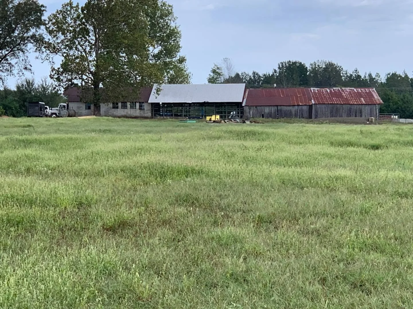 A rural farm scene with a large grassy field in the foreground, a weathered barn with a rusty metal roof, and a few trees in the background.