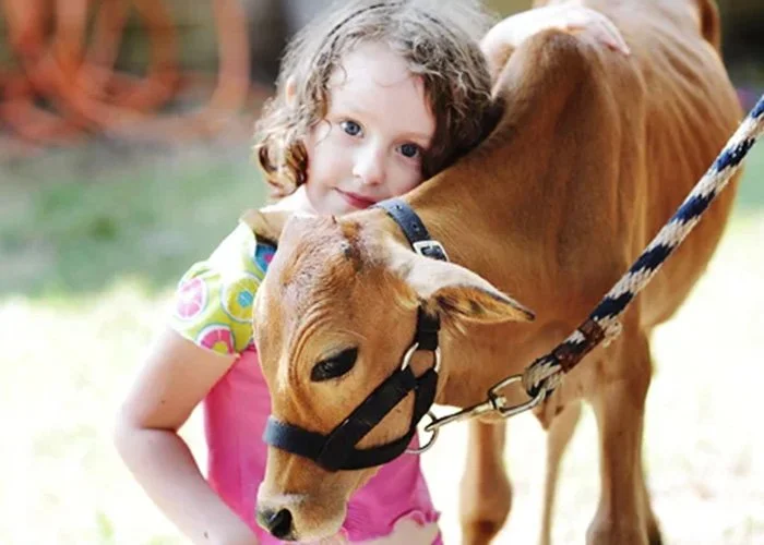 Young girl with curly hair hugging a small brown horse outdoors.