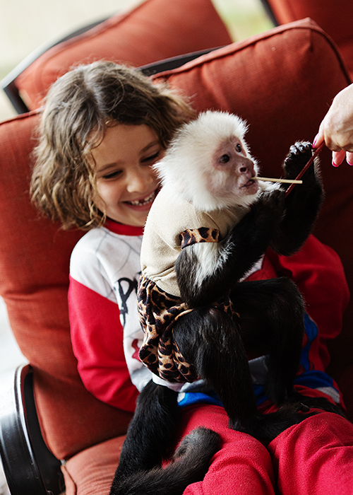 A young girl with brown, wavy hair smiling and sitting on a red cushioned chair, holding a baby capuchin monkey dressed in a beige and leopard-print outfit, as it reaches for a treat from a hand extended towards it.