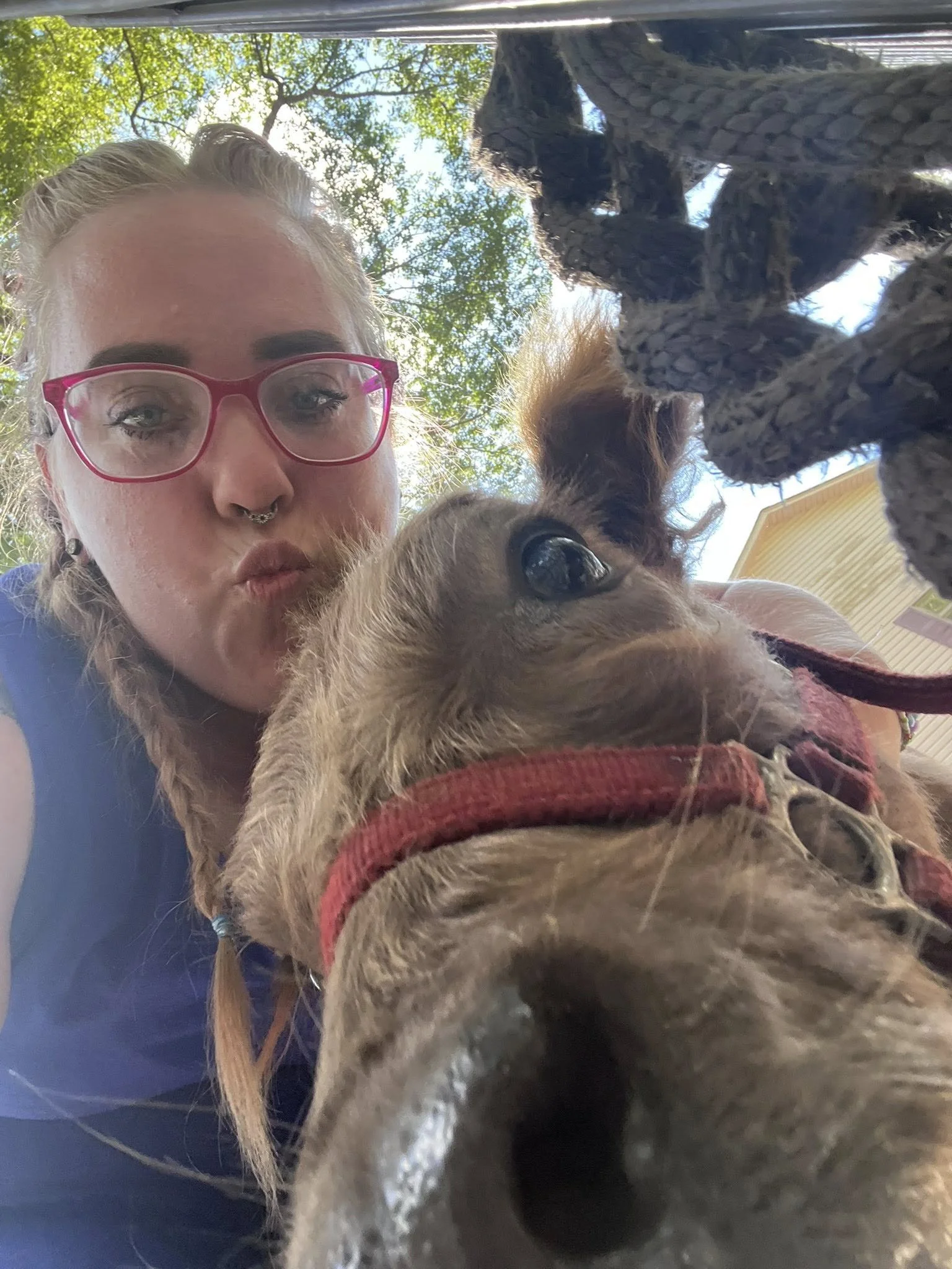 Close-up of a woman with pink glasses and a septum piercing taking a selfie with a small brown dog, seen from beneath, outside with green trees and a house in the background.