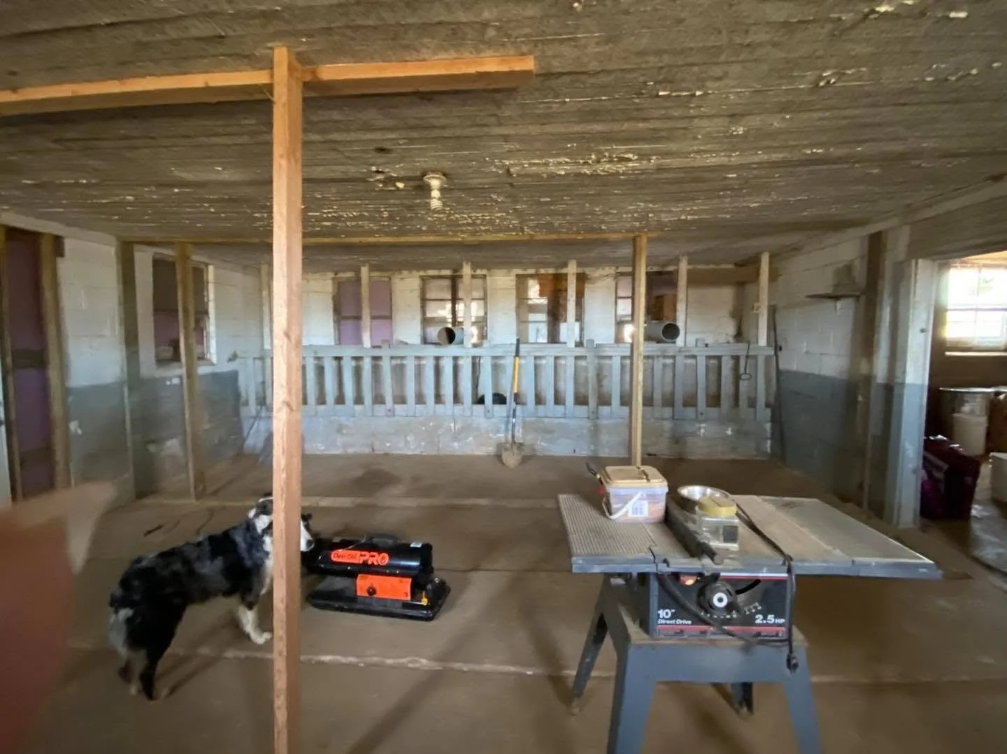 Interior of a house under construction with exposed wooden studs, a work table, a dog near a power tool, and construction materials.