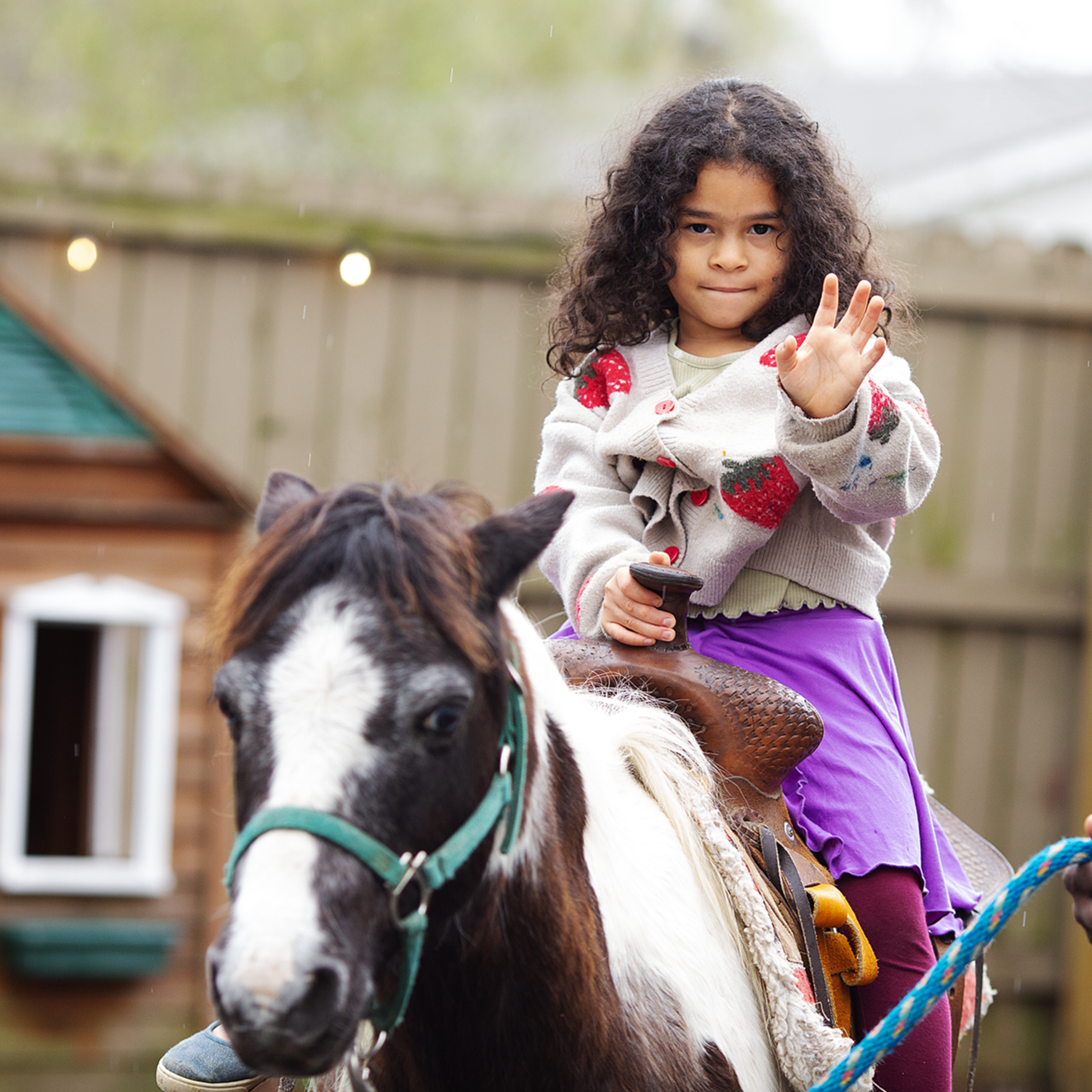 Pony Carousel