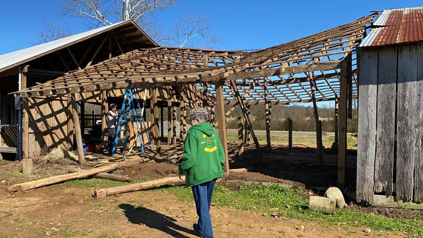 Two people working on a wooden structure with a ladder, one person in a green jacket and the other in a hat, amidst a rural area with clear blue sky, as the barn is under renovation or construction.