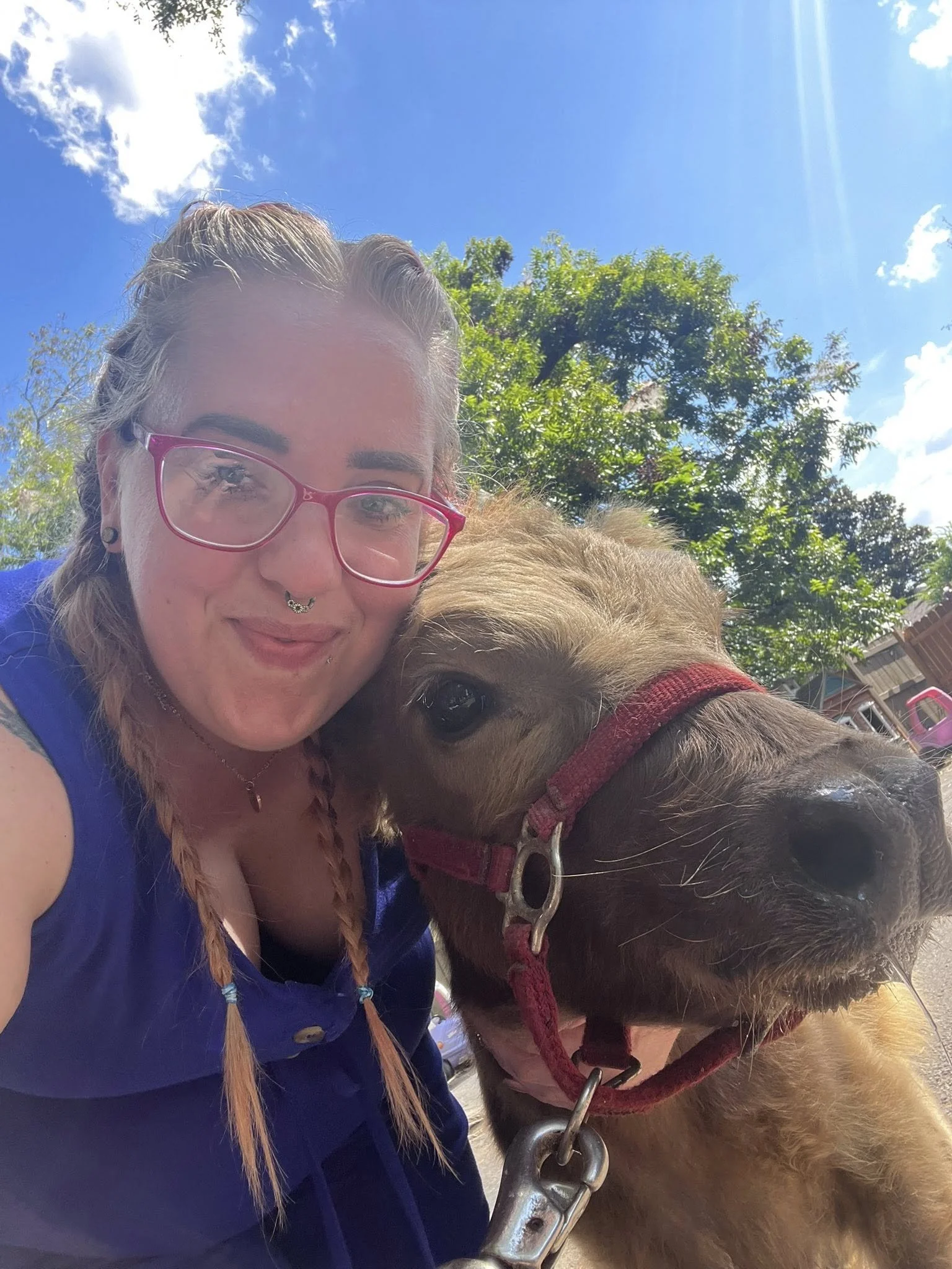 A woman with glasses and braided hair taking a selfie with a horse in an outdoor setting on a sunny day.