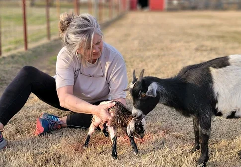 A woman petting a baby goat surrounded by two goats on a grassy field.