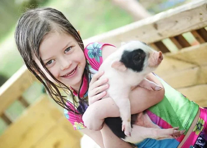 A young girl holding a piglet outdoors, smiling at the camera.