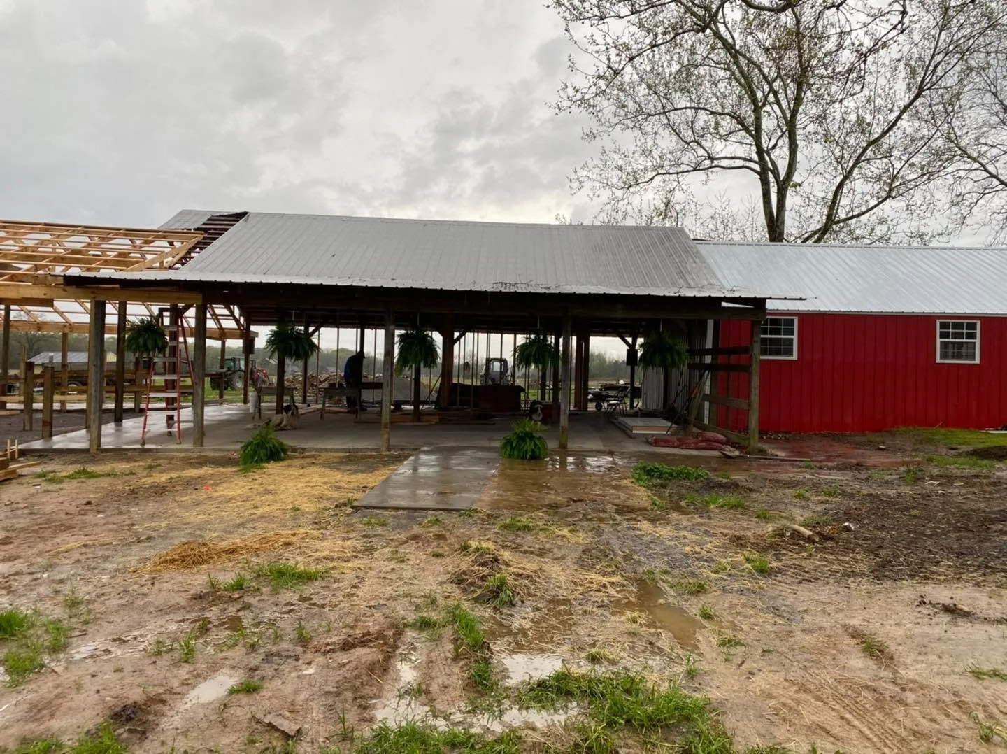 A partially constructed red barn with a metal roof, outdoors on a cloudy day, with some construction materials and tools visible, and muddy ground with patches of grass.
