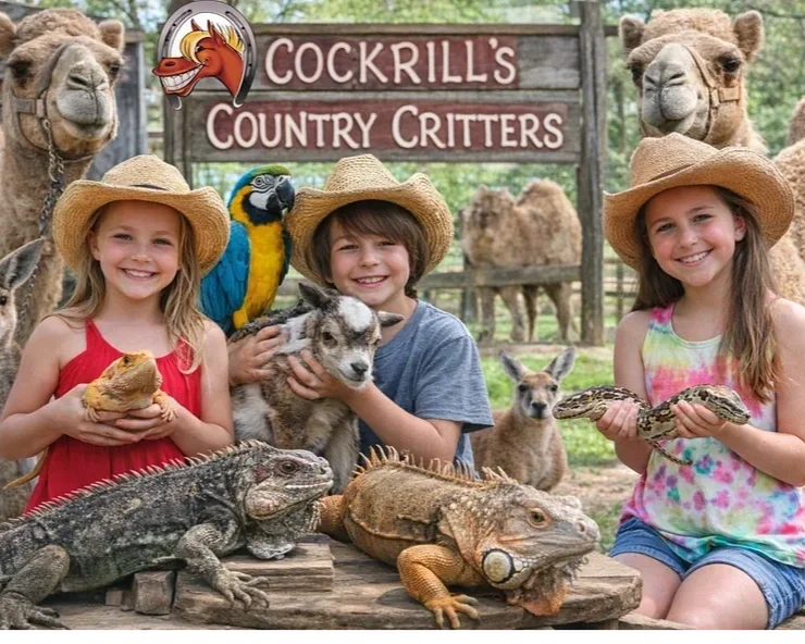 Homeschool Programs