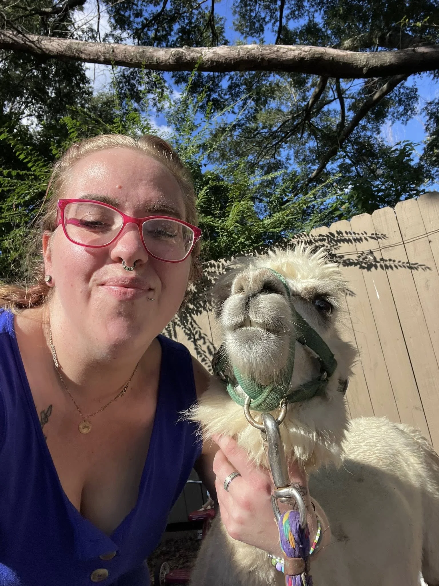 A woman with blond hair, wearing pink glasses and a septum piercing, smiling with closed eyes, holding onto a llama with a white and brown coat, wearing a colorful bracelet and a harness, outdoors with a wooden fence and trees in the background.