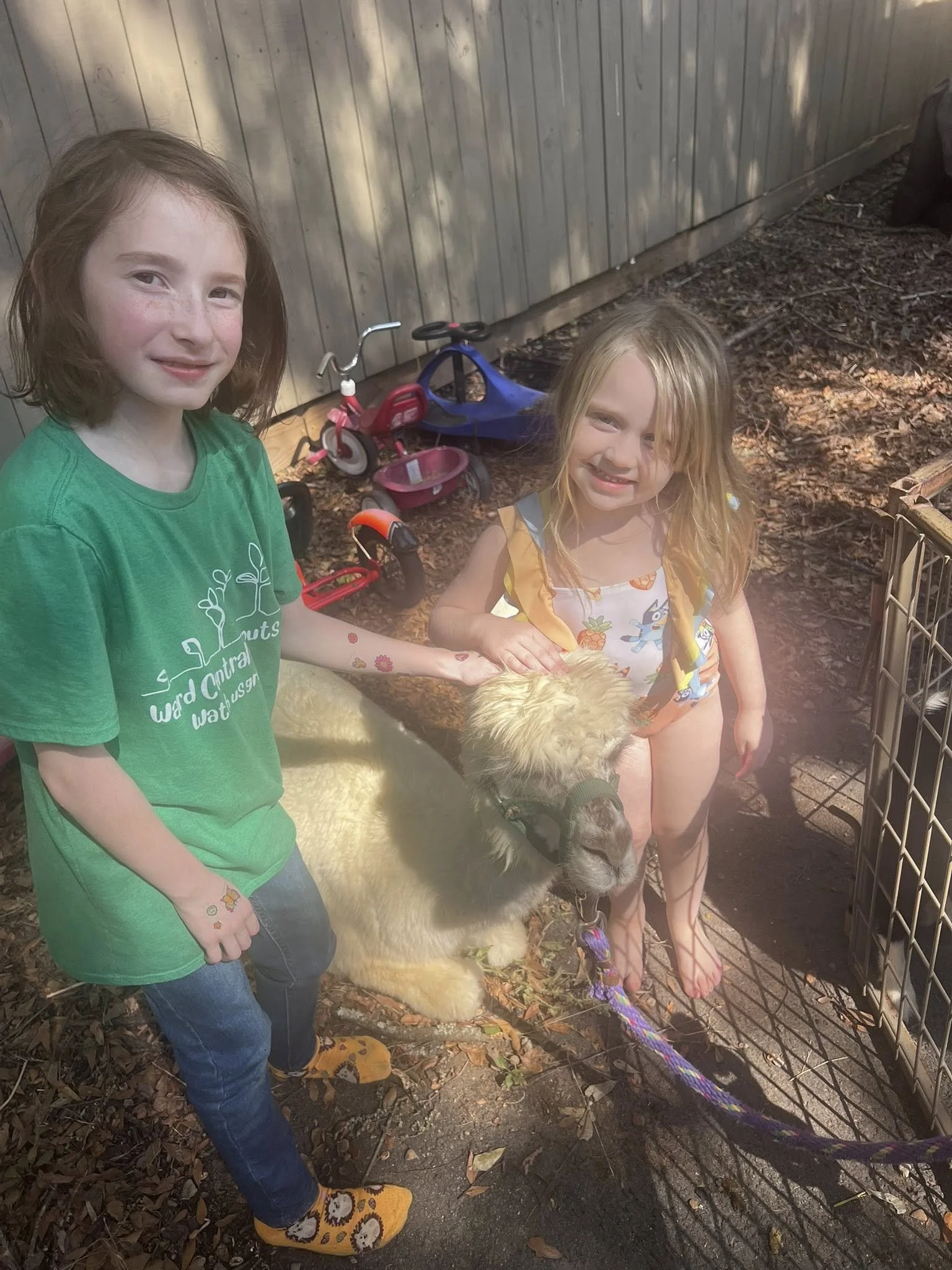Two young girls standing outdoors near a goat, with bikes and safety equipment in the background. One girl is wearing a green t-shirt and jeans, and the other is in a colorful dress, both smiling at the camera.