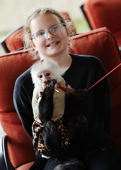 A young girl with glasses and a black sweatshirt smiling while holding a small white capuchin monkey wearing a leopard-print diaper.