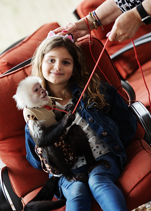 Young girl sitting on a red chair holding a small monkey dressed in clothing, with a person nearby holding the monkey's leash.