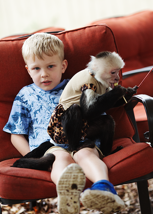 Young boy sitting on a red sofa next to a baby monkey. The monkey is playing with a toy and wearing a small outfit. The boy looks confused or surprised.