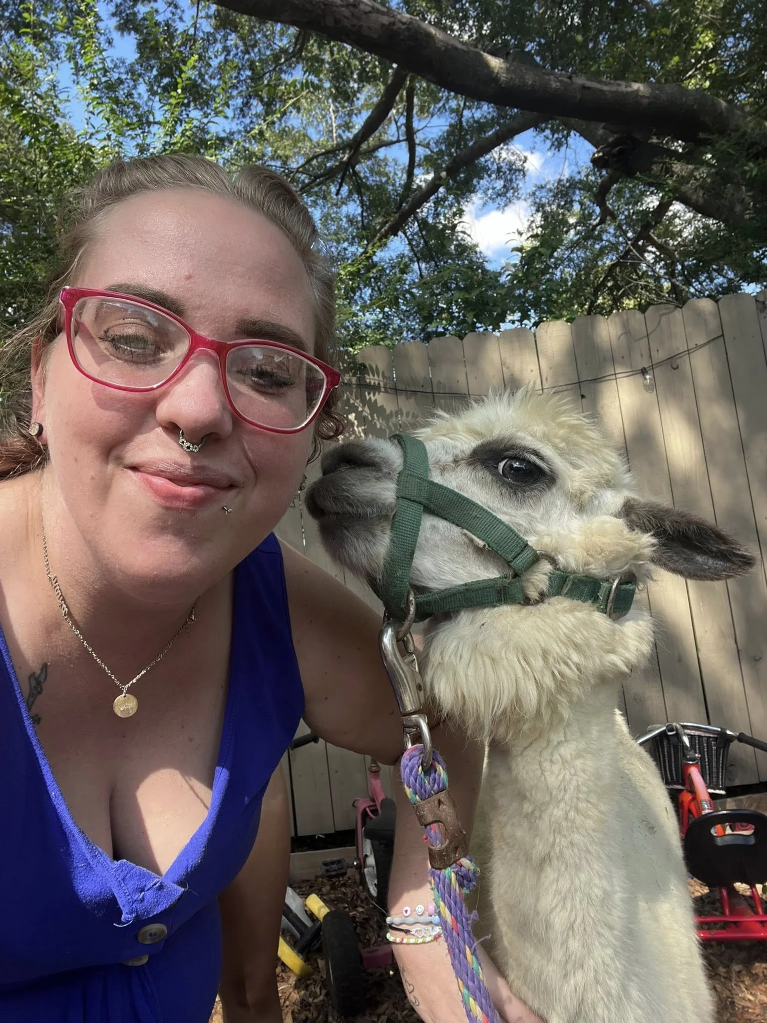 A woman with glasses and a septum piercing smiling next to a baby llama with a green halter on, in an outdoor setting with a wooden fence, trees, and blue sky in the background.