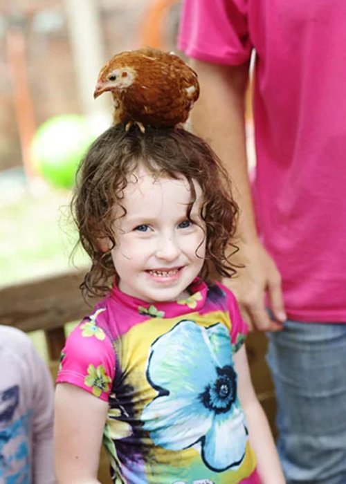 A young girl with curly hair smiling with a chicken perched on her head, outdoors in a fenced area.