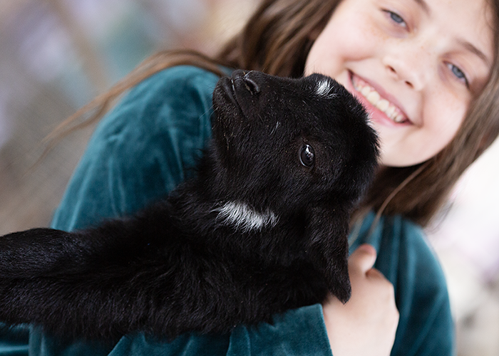 A girl holding a black bunny with white markings, smiling.