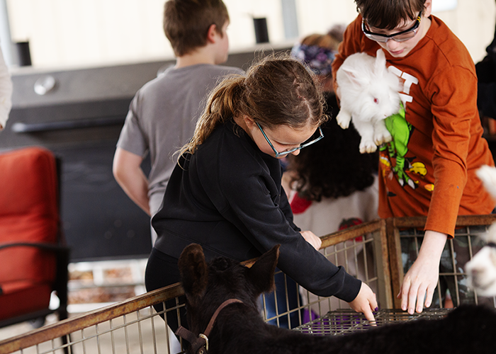 Children interacting with rabbits and a dog at an indoor petting zoo or animal encounter station.
