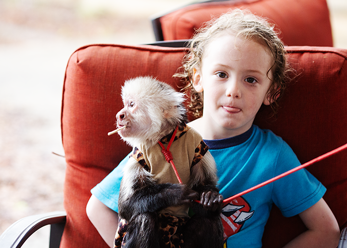 A young boy with curly hair and a blue T-shirt sitting on an outdoor red chair holding a small monkey on his lap.