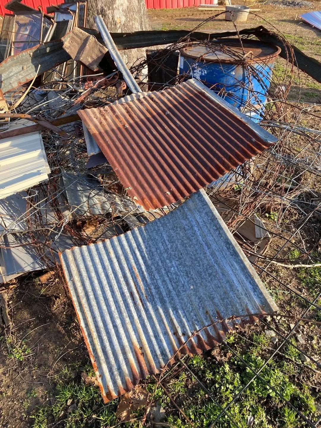 Pile of rusty corrugated metal sheets and old barbed wire on the ground outside near a tree, with some grass and debris around.
