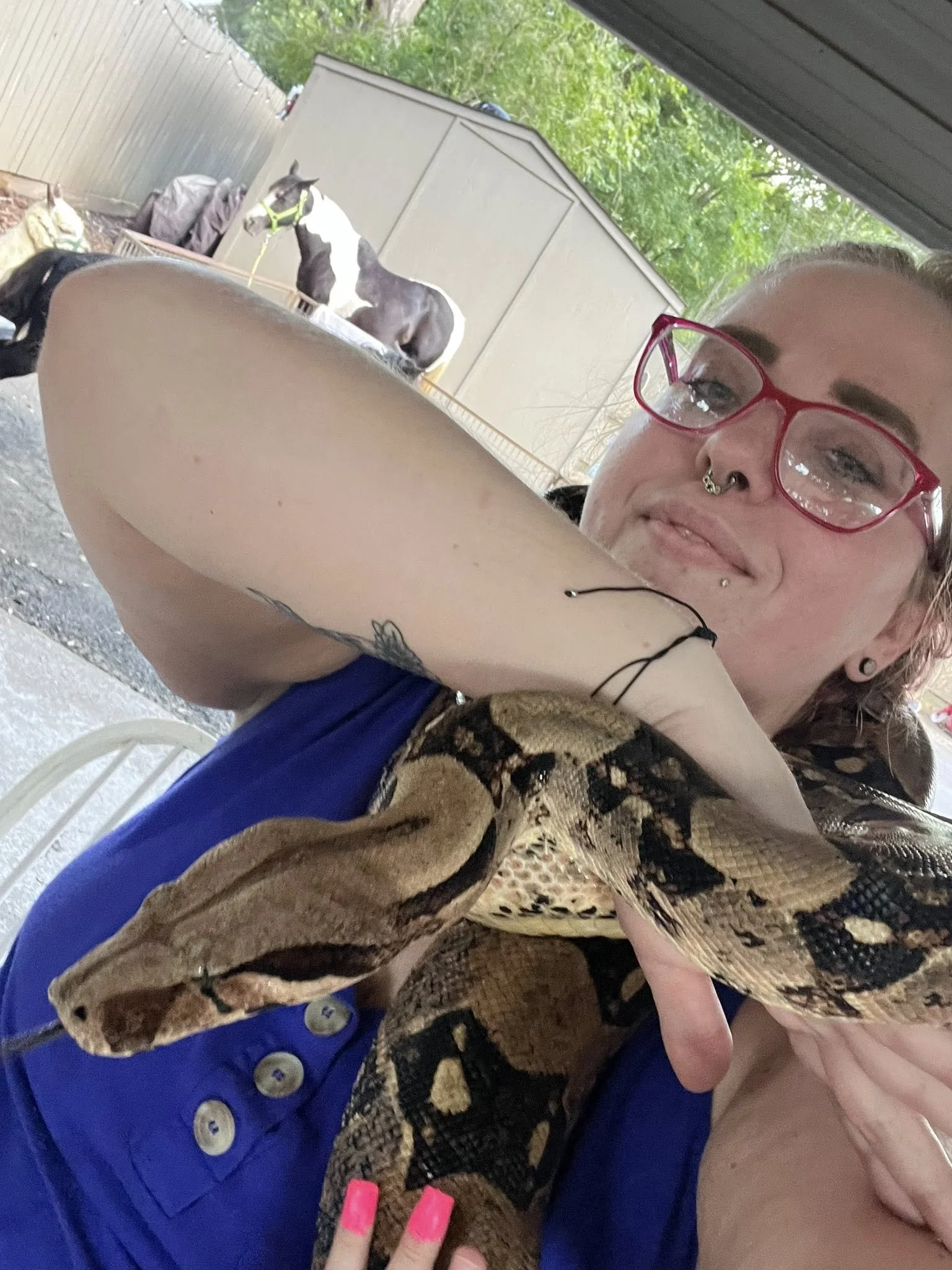 A person with red glasses and a septum piercing is lying down with their eyes closed, resting on a person's arm. In the background, there are two horses, one black and white, the other black, near a beige shed or storage building, surrounded by green