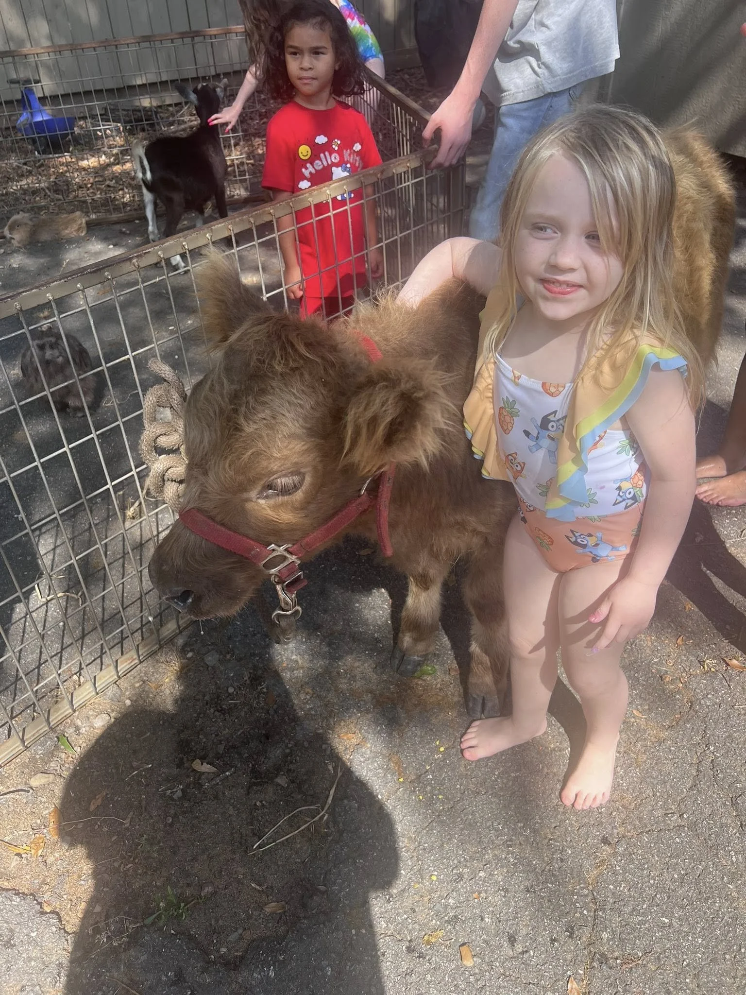 Two young girls at a petting zoo, one with long blonde hair, wearing a colorful dress, smiling while petting a small brown animal (possibly a goat), and the other girl with curly brown hair, wearing a red shirt, looking at a small black and white goa