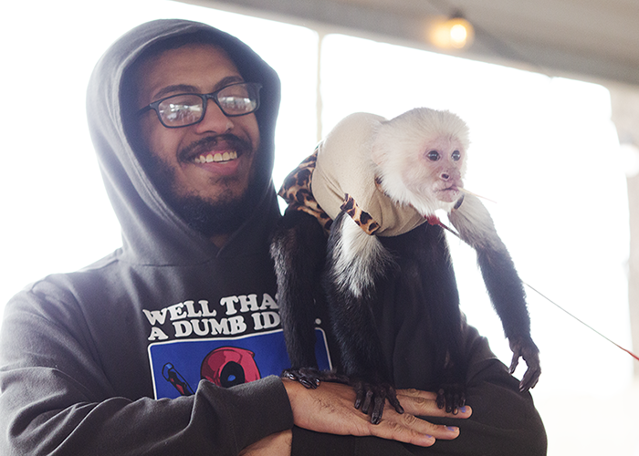 A man holding a capuchin monkey wearing a beige hoodie indoors.