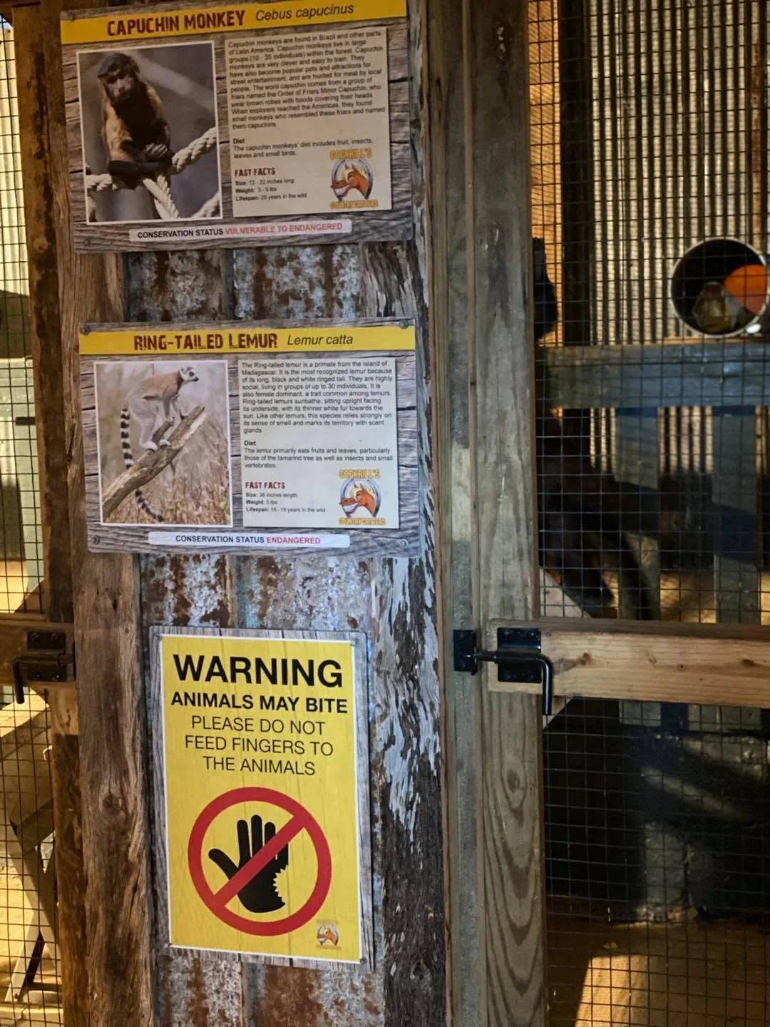 Signs on a wooden post at a wildlife exhibit. The top sign provides information about the Capuchin Monkey, including its scientific name, diet, and conservation status. The middle sign describes the Ring-Tailed Lemur, including its size, diet, and co