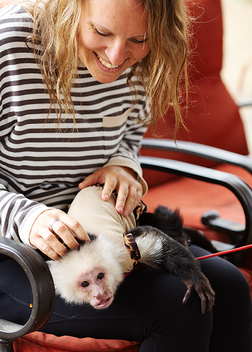 A woman smiling and petting a small white monkey with a leopard print collar on her lap.