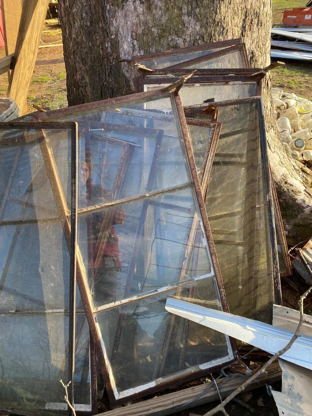 Several old, rusty window panes leaning against a large tree outside, with some discarded metal and glass pieces nearby.