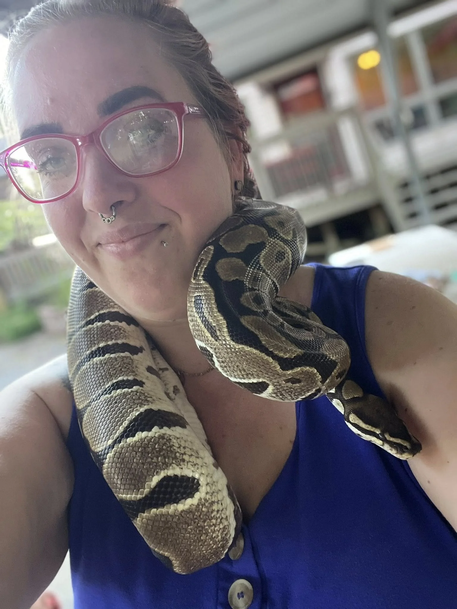 A woman with glasses and piercings has a snake around her neck.