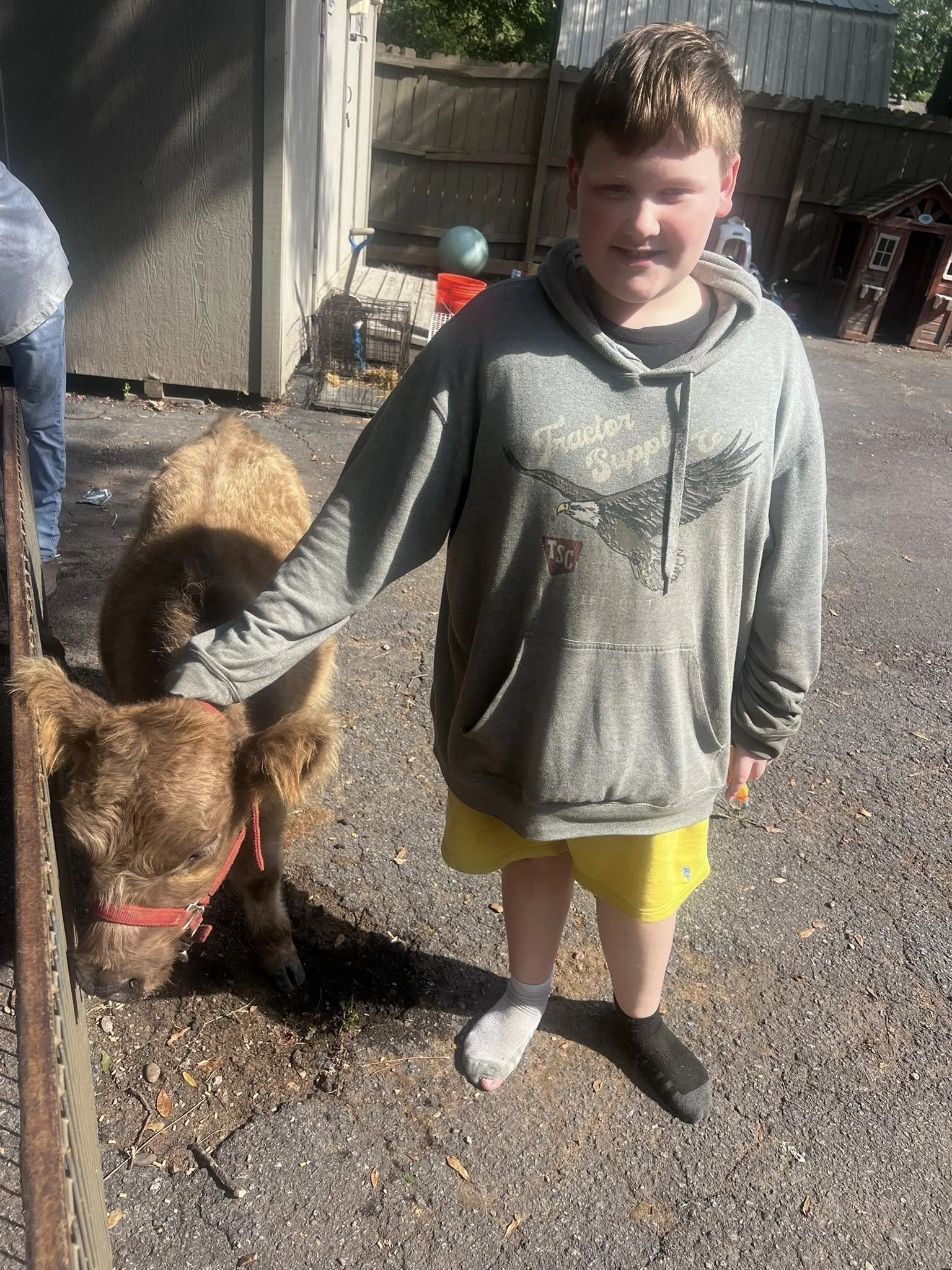 A young boy with light skin, brown hair, and a neutral expression stands outside on a paved surface. He is wearing a gray hoodie with an eagle graphic and yellow shorts, and mismatched shoes, one white and one black. He is holding the head of a small