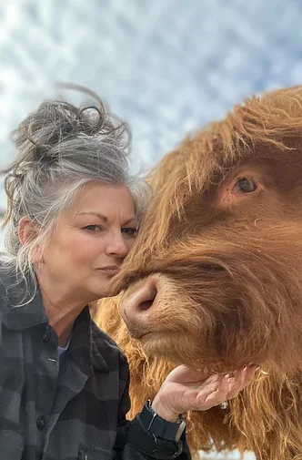 A woman with gray hair holding a large brown Highland cow with long hair