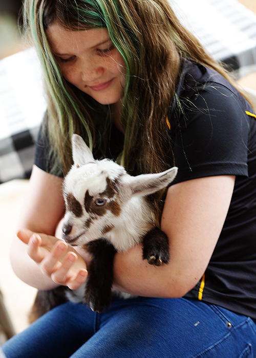 A young woman with green-tinted hair holding a small white and brown goat kid in her arms.