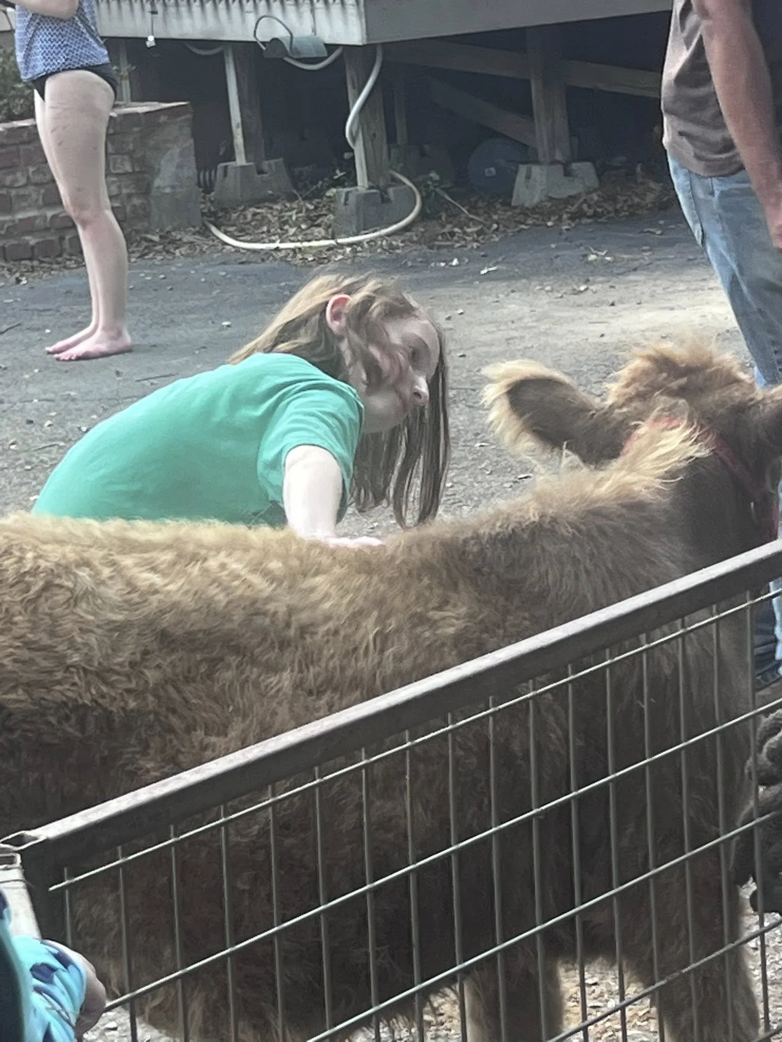 A girl with long brown hair wearing a green shirt is leaning over a black metal enclosure, observing a brown dog with long fur inside. Another person visible on the right is wearing a brown shirt and jeans. In the background, a person with bare legs 